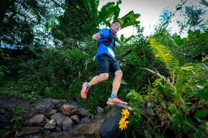 BIB: 7044
                            <button type="button" onclick="openModal(15974926)" class="btn btn-primary btn-sm float-right btn-popup" data-toggle="modal" data-target=".modal-high-quality">
                        <i class="fas fa-shopping-cart"></i> Add to Cart
                    </button>
                                            <button type="button" onclick="isThisMe(15974926, true)" class="btn btn-success btn-sm float-right btn-popup btn-isme hidden" data-toggle="tooltip" data-placement="bottom" title="นี่คือรูปของคุณใช่ไหม คลิกที่นี่เพื่อเอาเข้าอัลบั้ม">
                        <i class="fas fa-plus"></i> Add to album
                    </button>
                    <button type="button" onclick="isThisMe(15974926, false)" class="btn btn-warning btn-sm float-right btn-popup btn-isnotme hidden">
                        <i class="fas fa-ban"></i> Remove from album
                    </button>